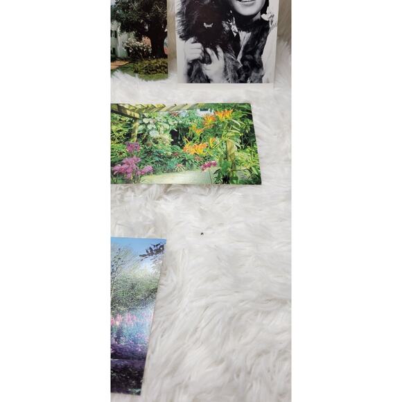 Lot of 6 Vintage Movie Star, Botanical, The Beatles Unused Postcards - Picture 4 of 11